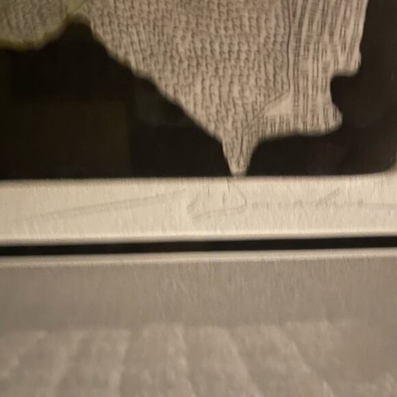 Paleolithic art art piece framed with COA - Picture 5 of 11